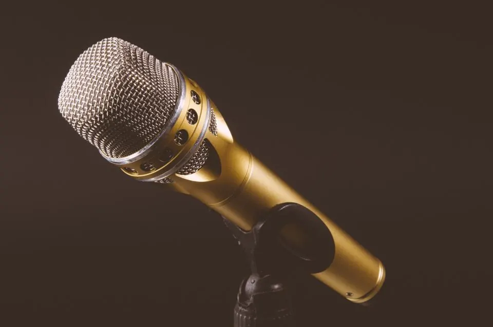 Microphone Audio